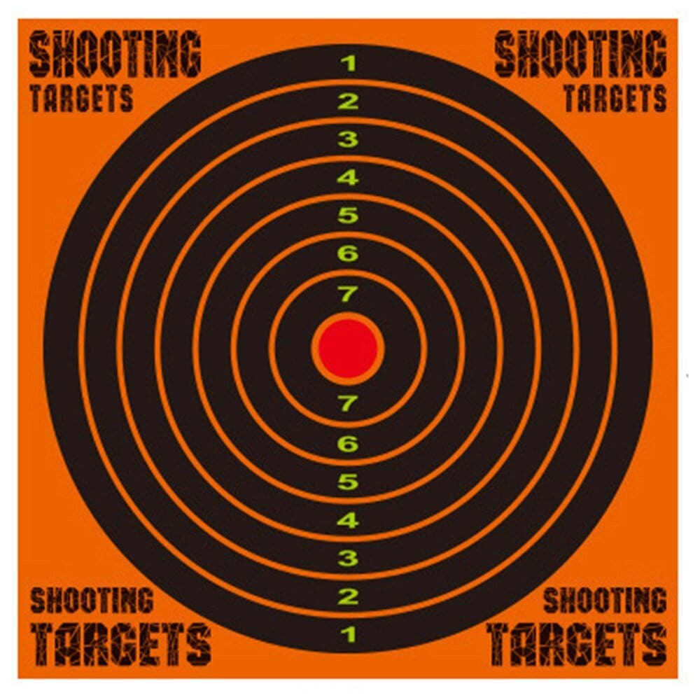 Cible de tir professionnel Airsoft 12 pouces